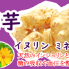 菊芋とゴボウのコラボ！菊芋ごぼう茶で血糖値を整え免疫力アップ！