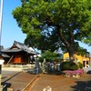 蔵王神社 - 安城市北山崎町