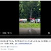 小泉進次郎「ため池に給水車」炎上の真相！専門家が明かす効果とは【2025最新】