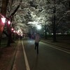 千本桜景厳。