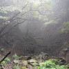 中央線沿線 寺下峠～立野峠