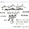 見える世界は見えない世界の相似現象