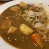 ダイエット中だけどカレーを食べに行ってみた。