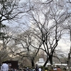 アジアな空間　その２０２４３　桜パトロール　その３　の巻