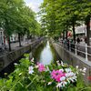 【オランダ・ベルギー】日々美しい景色に大興奮、ここまでの旅行のメモ（途中経過）