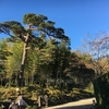 昭和記念公園でサイクリング