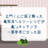 正門くんに振る舞った亀梨流ヘルシーレシピが亀'sキッチンで一番参考になった話