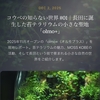 長田に静かに芽吹いた、小さな森の聖地。──テラリウム作家・辻原さんの「olmo+」誕生物語