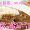 「試した結果、アリでした。」お家のカレーがレベルアップする意外な隠し味11選