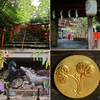 【貴船神社 本宮（貴布禰総本宮）】祈雨の黒馬・止雨の白馬。絵馬が発祥した【水の祭祀】の古社