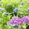 今週のまとめ