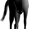 【府中牝馬ステークス 2024  レース回顧・結果】こんなんひれ伏すわ