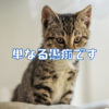 愚痴とか弱音は吐いて良い