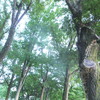 苦笑した／令和問わず語り・140