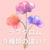 【ラブクロム】どれがいい？９種類のくしの違いについて解説！ゴールドとブラックとシルバー🌷