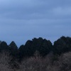 今朝の景色
