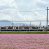 近江鉄道 700形『あかね』号　ラストラン　＜臨時２便＞　（５/６）