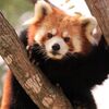 旭山動物園に便利！子連れにおすすめの旭川駅周辺ホテル8選