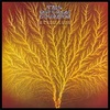 #0432) STILL LIFE / VAN DER GRAAF GENERATOR 【1976年リリース】