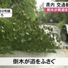 台風接近で倒木被害も　土砂災害など厳重警戒【熊本】