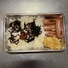 ウィンナー弁当