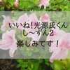 『いいね！光源氏くん し～ずん２』が楽しみです♪