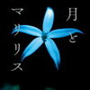 町田そのこ『月とアマリリス』あらすじとレビュー！共依存と愛着障害、人間の「心のスキ」を突いた物語。