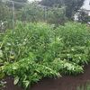 甚大な被害は１つ