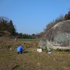 大岩周辺の草刈り