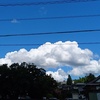 梅雨は明けたのか(過去記事その１)