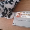 【ゲーム】スーパーレッスルエンジェルス(スーパーファミコン)っておいくらなの？【SFC】
