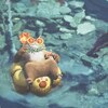 【ソロモンハンワイルズ】ヴェールという名前に惑わされていたかもしれないことに気づいた初歴戦王ウズ・トゥナ【まだまだ発見のある踊火の儀】