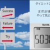 作業興奮の原理を利用してダイエットしちゃおう。行動あるのみ！