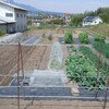 実家の畑で農作業でした