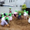 すみれ組さんのブーム
