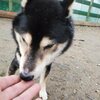 バカもほどほどに。
