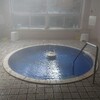 【飯坂温泉を入りつくせ！】日帰り入浴可能な旅館１９件全て入ったので紹介します！（アルカリ性単純温泉）