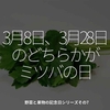 1590食目「3月8日、3月28日のどちらかがミツバの日」野菜と果物の記念日シリーズその7