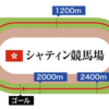 シャティン競馬場データ