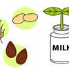謎の植物性の飲料 オーツミルクの栄養は？