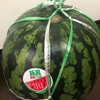 すいかを買ってきた