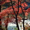 秋の武蔵嵐山をめぐる／嵐山町・ときがわ町・小川町