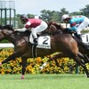 カリビアンゴールド田中勝騎手「力のある馬で挑めるのは最高」/秋華賞共同会見