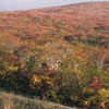 栗駒山　紅葉