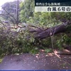 【台風6号】湯前町では平年の1か月分超える雨　天草市五和町では倒木も