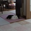 レンズの解像度を巡って（１）