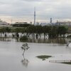 台風が過ぎ去った江戸川