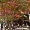毘沙門堂の紅葉2025：見頃や色づき状況、混雑回避のコツ！