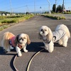のどカラカラ〜