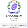 ピクミンブルーム＊その３０　ヒヤシンスのコミュニティデイ